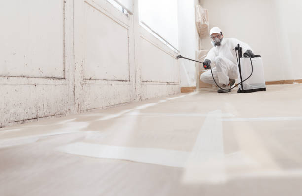 24/7 Emergency Mold Remediation experts in East Hanover, NJ
