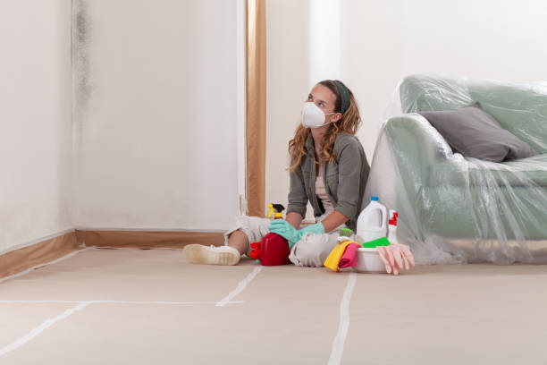 Reliable Mold Remediation contractor in East Hanover, NJ by Mold Remediation HQ